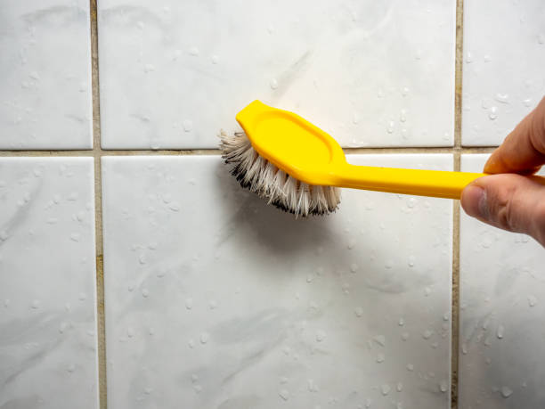 Best Black Mold Removal  in Clara City, MN